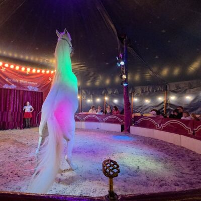 Circus Rocky Kindertraum